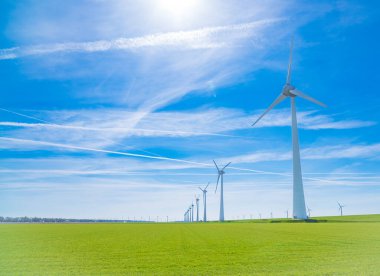 Düz bir Hollanda manzarasında sıra sıra yel değirmenleri