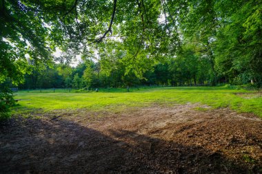 Ağaçların arasında güzel bir piknik alanı