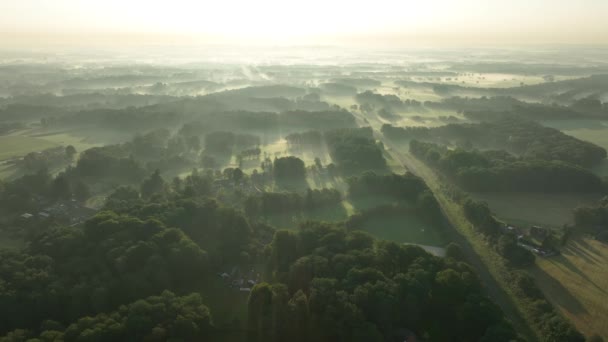 Eylül Sabahı Hollanda Kırsal Bir Arazi Üzerine Sisli Bir Sabah — Stok video
