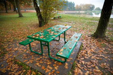 Sonbahar aylarında yeşil metal piknik tezgahı