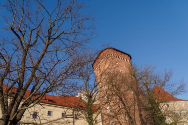 Polonya 'nın Krakow kentindeki ünlü Wawel şatosunun dışında. Ortaçağ, Rönesans ve Barok dönemlerinin neredeyse tüm Avrupa mimari tarzlarını temsil etmektedir.. 