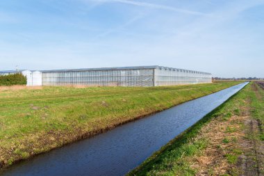 Ticari bir seranın çevresindeki su için küçük bir hendek.