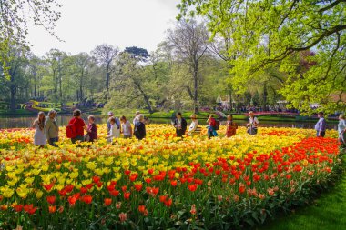 LISSE, NETHERLANDS - 22 Nisan 2018: Dünyanın en güzel bahar bahçesi olan Keukenhof 'da çiçek açan lalelerin tadını çıkaran bir sürü insan.