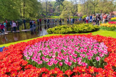 LISSE, NETHERLANDS - 22 Nisan 2018: Dünyanın en güzel bahar bahçesi olan Keukenhof 'da çiçek açan lalelerin tadını çıkaran bir sürü insan.