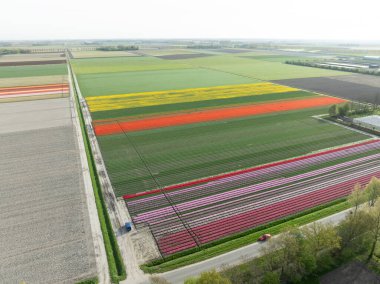 Renkli lalelerle dolu güzel bir manzaranın havadan görünüşü.