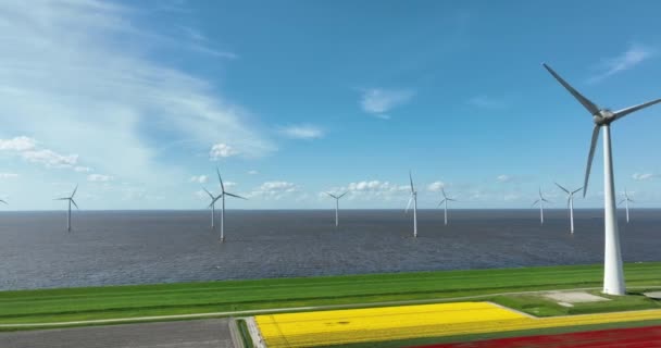 Renkli Laleler Rüzgar Türbinleriyle Dolu Güzel Bir Arazinin Hava Görüntüleri — Stok video