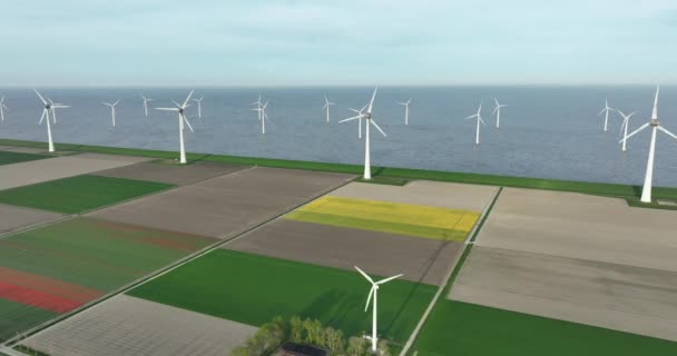 バックグラウンドの風力タービン農場を持つオランダのブルーミングチューリップの空中ビュー — ストック動画