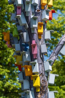 Riga, Letonya 'daki Escplanade Park' ta yüzlerce renkli kuş eviyle süslenmiş ağaç.