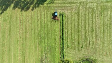 Traktördeki çiftçi saman yapmak için çimleri çeviriyor.