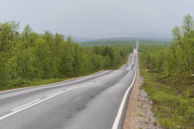Kuzey Finlandiya 'daki E8' in Hilly ve heteroseksüel kısmı. E8, Tromso, Norveç ve Turku, Finlandiya arasında uzanan bir Avrupa rotasıdır. Güzergahın uzunluğu 1410 kilometre (880 metre) dir.).