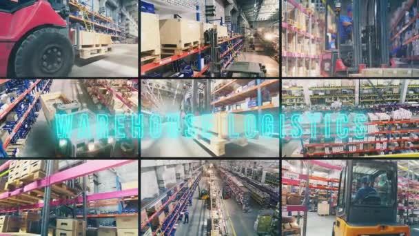 倉庫物流のインフォグラフィック 倉庫物流の開口部 大企業の倉庫 — ストック動画