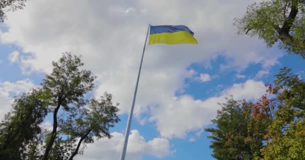 Flaga Ukraińska Ukraińska Flaga Maszcie Flaga Ukrainy Przeciwko Błękitnemu Niebu — Wideo stockowe