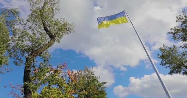 Ukrajinská Vlajka Ukrajinská Vlajka Stožáru Ukrajinská Vlajka Proti Modré Obloze — Stock video