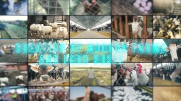 그래픽 동물의 목축업 농장의 분류학 동물의 목축업 스크린 — 비디오