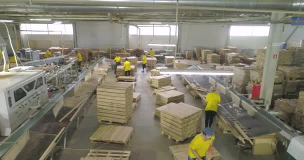 Κόσμος Δουλεύει Στο Μαγαζί Εργαστήρι Για Την Παραγωγή Επίπλων Βιομηχανικό — Αρχείο Βίντεο