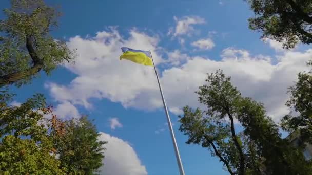 Flan Ucraniano Viento Bandera Ucrania Ondea Viento Bandera Ucrania Contra — Vídeos de Stock