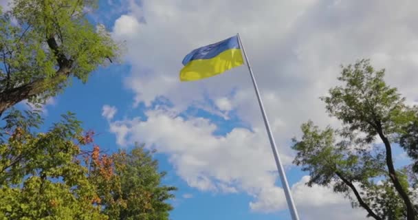 ゆっくりとした動きの一般的な計画では ウクライナの国旗が風になびく 空に対する旗竿にウクライナの旗 — ストック動画