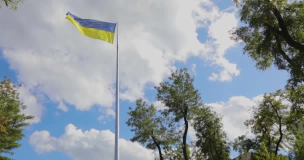 Ukrajinská Vlajka Vlaje Větru Zpomaleném Všeobecném Plánu Ukrajinská Vlajka Vlajkovém — Stock video