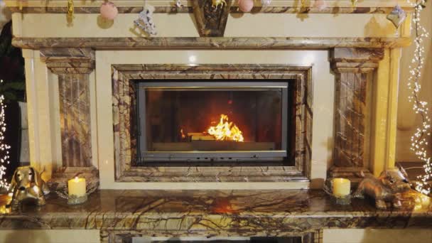 Brennholz Brennt Kamin Silvester Interieur Mit Einem Kamin Feuer Kamin — Stockvideo