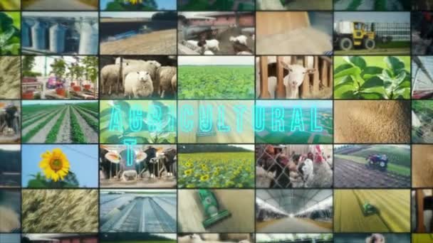 农业技术题词 农业技术信息图表 农业技术多屏 — 图库视频影像