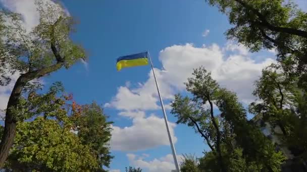 乌克兰人在风中飞舞 乌克兰的国旗在风中飘扬 乌克兰国旗高悬天空 — 图库视频影像