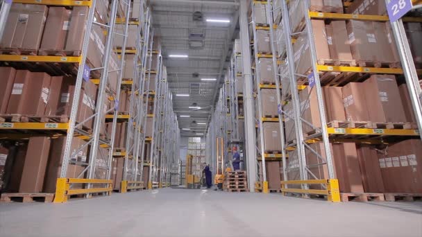 工場の大きな倉庫 倉庫内の多くの箱 労働者は倉庫内の商品を溶かす — ストック動画