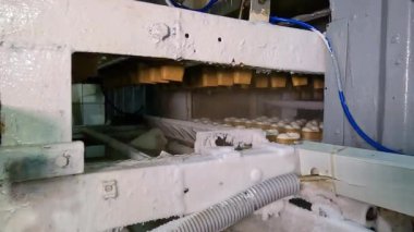 Dondurma üretimi. Otomatik dondurma üretimi. Otomatik dondurma üretim hattı.