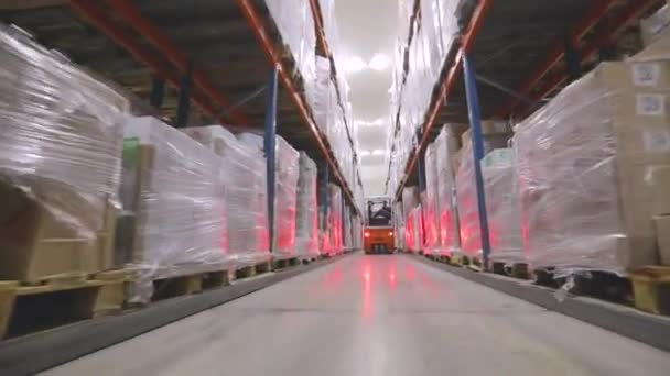 Vorkheftruck Rijdt Door Het Magazijn Van Fabriek Modern Magazijn Groot — Stockvideo