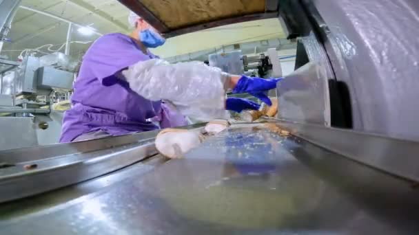 传送机上的工人摆设了冰淇淋 工厂里冰淇淋的生产 传送机的工作 装配线上的日常工作 — 图库视频影像