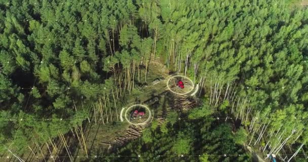 Træskæring Med Moderne Udstyr Lovlig Logning Fra Drone Begrebet Moderne – Stock-video