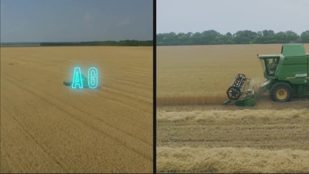 農業の碑文 農業インフォグラフィック 農業ビデオコラージュ — ストック動画