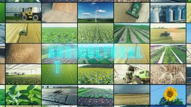 Mezőgazdasági Technológia Felirat Mezőgazdasági Technológia Infografika Mezőgazdasági Technológiai Multiscreen — Stock videók