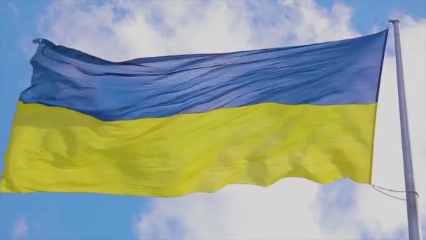 ウクライナは風に吹かれた ウクライナの国旗が風になびく 空に対するウクライナの旗 — ストック動画