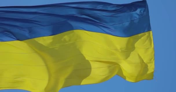 우크라이나 우크라이나 국기가 깃대에 우크라이나 국기를 하늘에 독립의 — 비디오