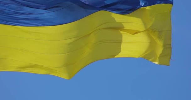 Ukrainska Flaggan Ukrainska Flaggan Flaggstång Flagga Ukraina Mot Den Blå — Stockvideo