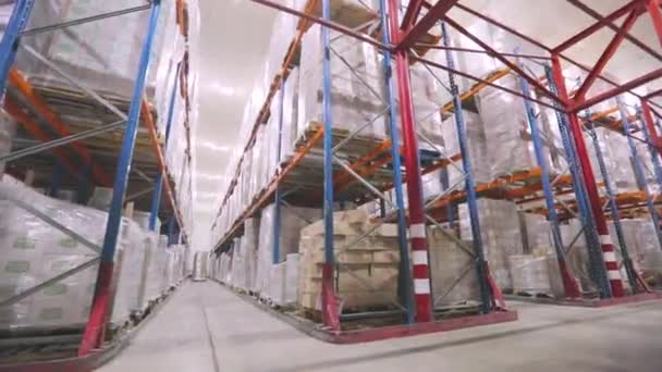 Velký Moderní Sklad Zbožím Bez Lidí Kamera Pohybuje Továrním Skladištěm — Stock video