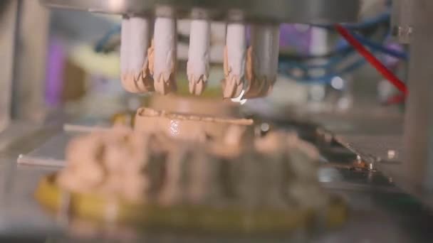 Автоматизоване Виробництво Морозива Автоматизований Конвеєр Створення Морозива Морозиво Добре Вичавлене — стокове відео
