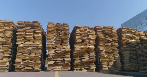 Holz Trocknen Natürlich Die Entfernung Von Wasser Aus Holz Mit — Stockvideo