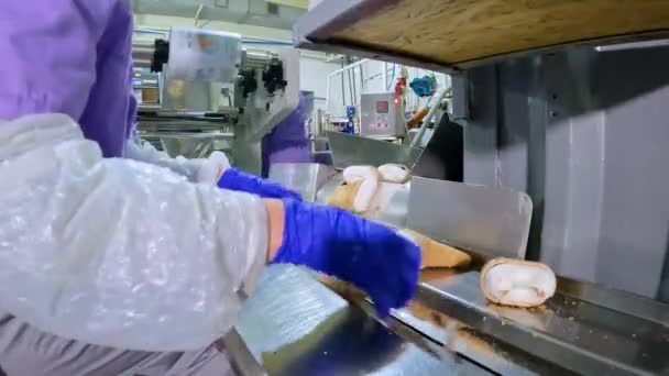传送机上的工人摆设了冰淇淋 工厂里冰淇淋的生产 传送机的工作 装配线上的日常工作 — 图库视频影像