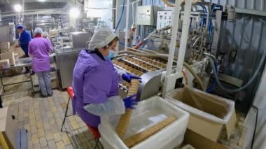 Bir kadın konveyör hattına waffle fincanı koyar. Dondurma üretimi. Gıda üretimi.