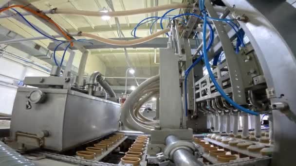 Produkcja Lodów Automatyczna Produkcja Lodów Automatyczna Linia Produkcji Lodów — Wideo stockowe