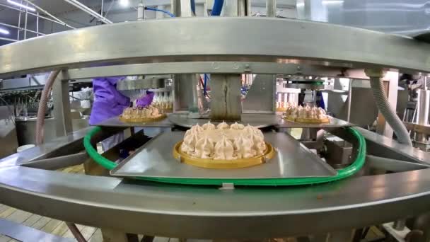 コンベアラインでケーキを作成するプロセス 近代的な菓子工場 自動コンベアラインでケーキ — ストック動画