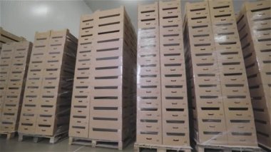 Yiyecek deposu buzdolabı. Modern gıda deposu. Yiyecek ürünleri olan bir depo..