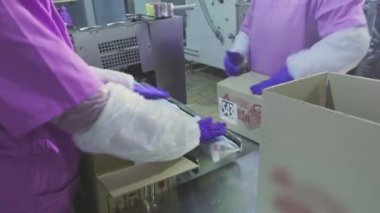 İşçiler kutulara dondurma koyarlar. Kadınlar dondurmaları kutulara koyar. Fabrika iş akışı.