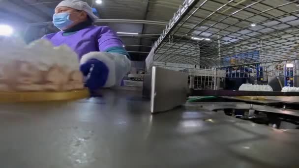 Producción Pasteles Fábrica Confitería Los Trabajadores Del Transportador Hacen Pasteles — Vídeos de Stock