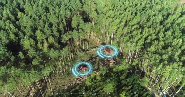 Holzbearbeitung Mit Moderner Ausrüstung Legale Protokollierung Von Einer Drohne Aus — Stockvideo