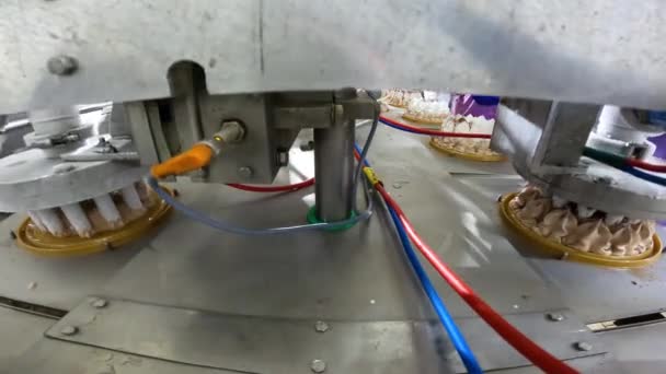 Producción Automatizada Helados Transportador Automatizado Para Crear Pastel Helado Helado — Vídeos de Stock