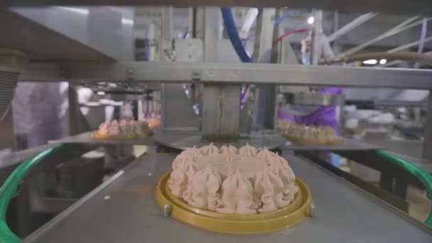 Taart Transportband Taartproductie Productie Van Taarten Een Moderne Fabriek Het — Stockvideo