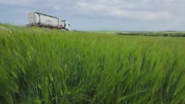 Yeşil buğday tarlasının yanında bir tank kamyonu sürüyor. Yeşil buğday, arkada sıvı kargo kamyonu. Çevre dostu ulaşım görüntüsü için çerçeve.