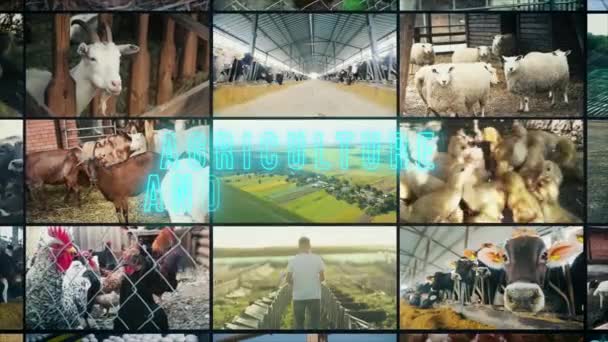 Jordbruksföretagens Inskription Jordbruksföretagens Infografik Multiscreen För Jordbruksföretag — Stockvideo